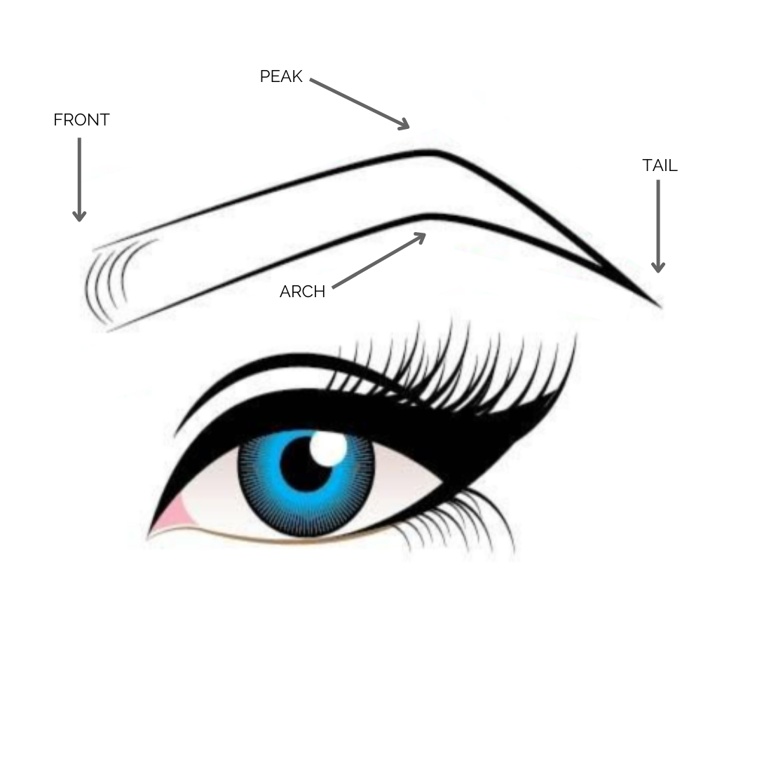 Eyebrow Threading, Waxing & Lamination Toronto Winks Eyelash Boutique
